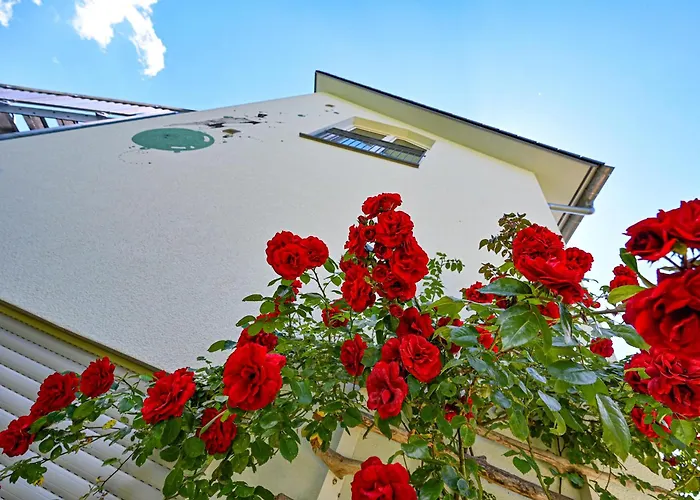 Bergblick 7 8 Dg Apartman